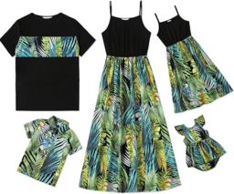 Colorful Zebra full family set