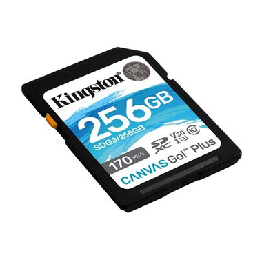 Memorijska kartica Kingston SD 256GB Canvas GO Plus KIN V30